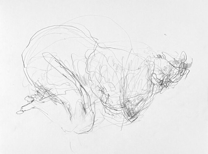 Graphite drawing of a woman by artist Denny Brückner.